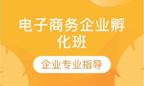 电子商务企业孵化班