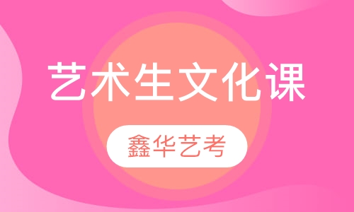 艺术生文化课精品一对一辅导
