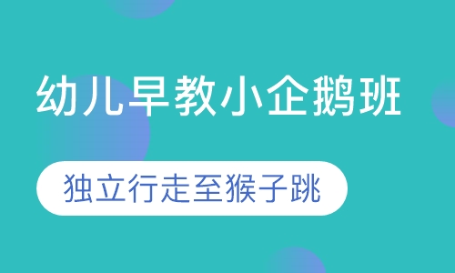 幼儿早教小企鹅班