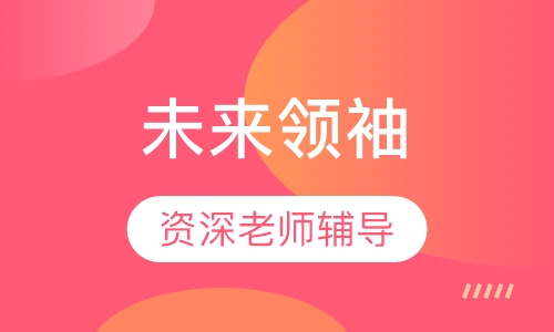 未来领袖（优秀到卓越）励志西式营