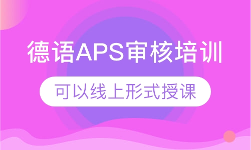 德语APS审核培训