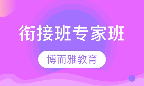 衔接班辅导专家班