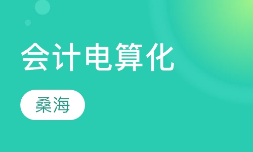 会计电算化