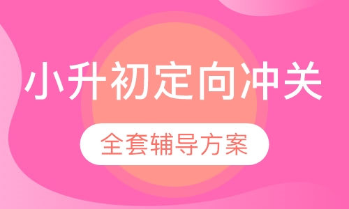 小升初择校定向冲关课程