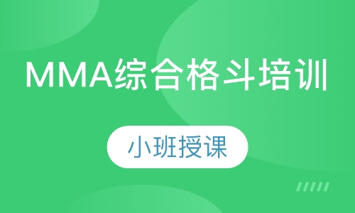 MMA综合格斗培训