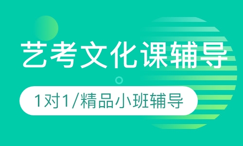 直播课艺考文化课辅导