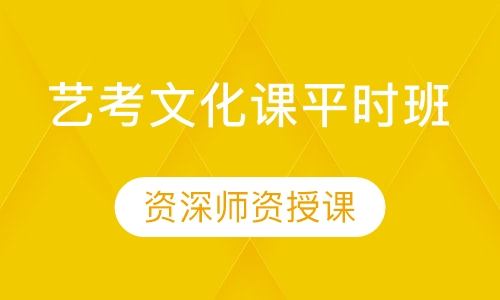 艺考文化课平时班