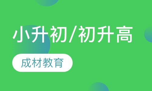 小升初/初升高衔接适应特训