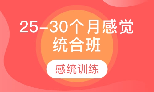 25-30个月感觉统合班