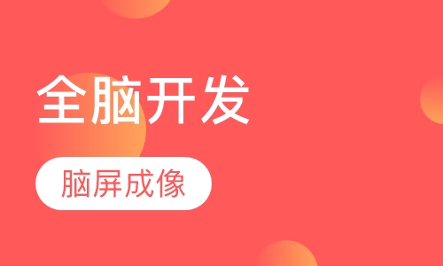 脑屏成像学习法