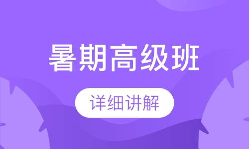 暑期高级班