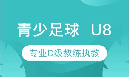 青少足球  U8