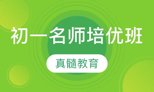 初一名师培优班