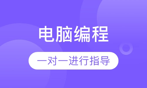 电脑编程 (CS)