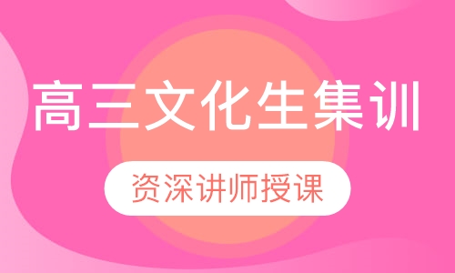 高三文化生集训