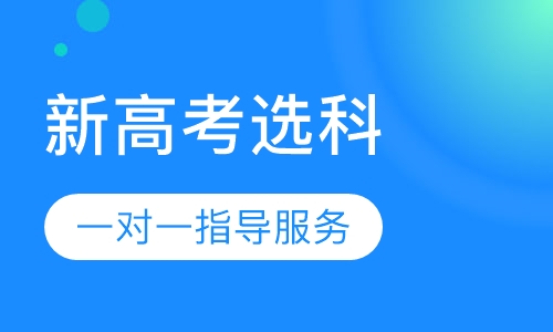 新高考选科一对一指导服务