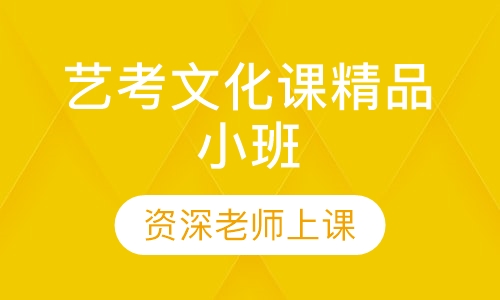 艺考文化课精品小班