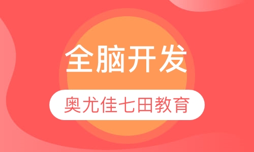 全脑开发