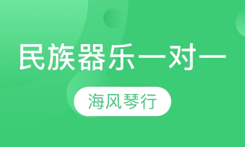 民族器乐一对一