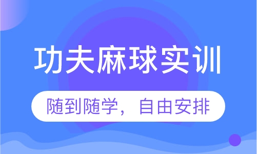 功夫麻球实训