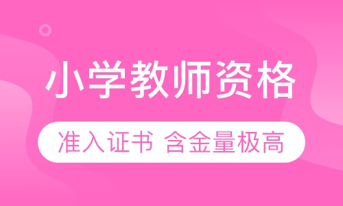小学教师资格证培训