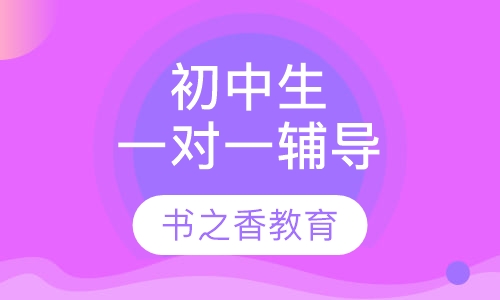 初中生一对一辅导