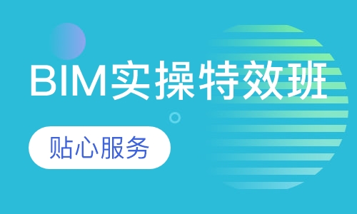 BIM实操特效班