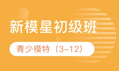青少-新模星初级班