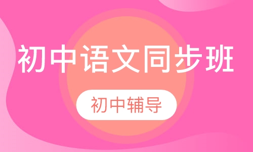初中语文同步班