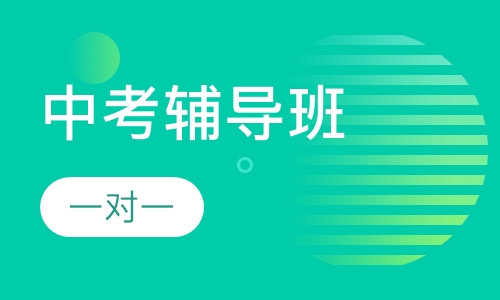 中考一对一个性化辅导班