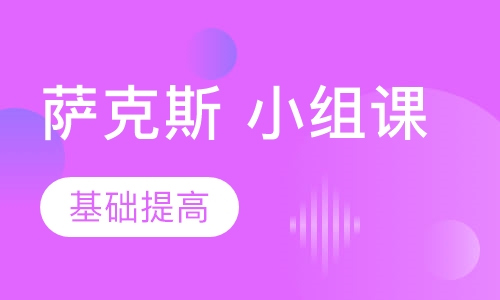 萨克斯 小组课