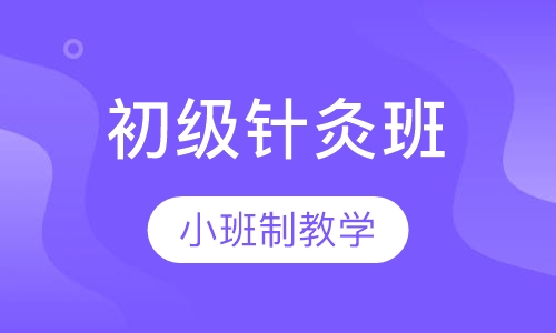 中医初级针灸班