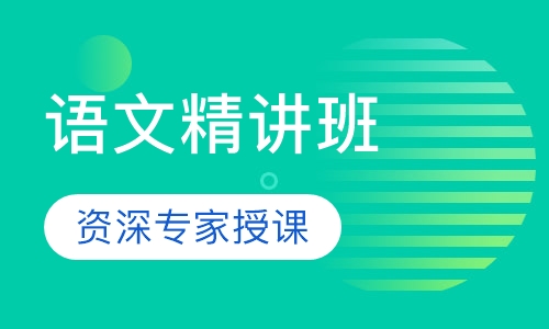 初中语文精讲课程