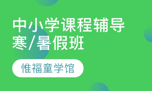 中小学课程辅导寒/暑假班