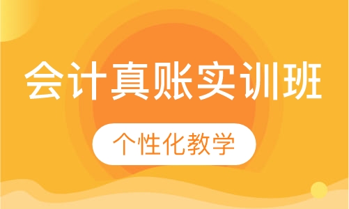 会计真账实训班