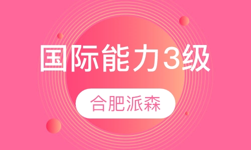 国际能力3级