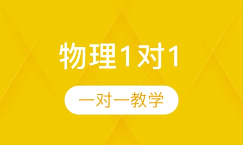 初中物理1对1