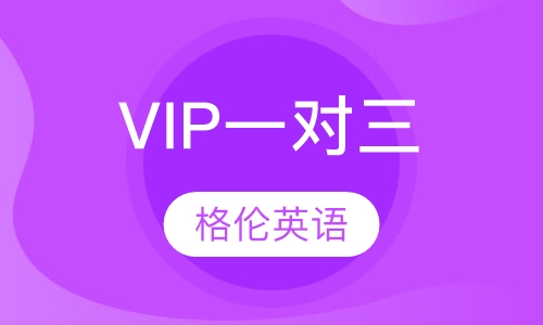 VIP一对三