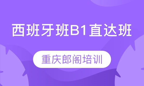 西班牙班B1直达班