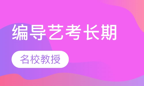 编导艺考长期班