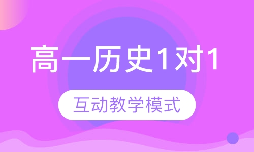 高一历史1对1辅导