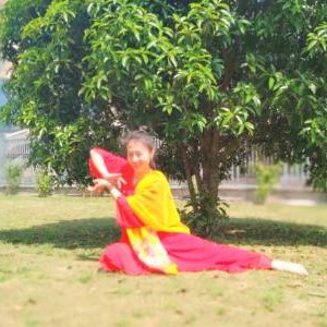 武汉盛世绘艺术:灵红