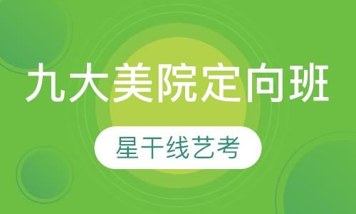 美术专业九大美院定向班