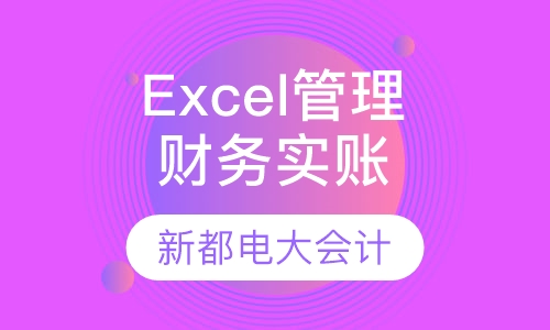 Excel财务管理实账