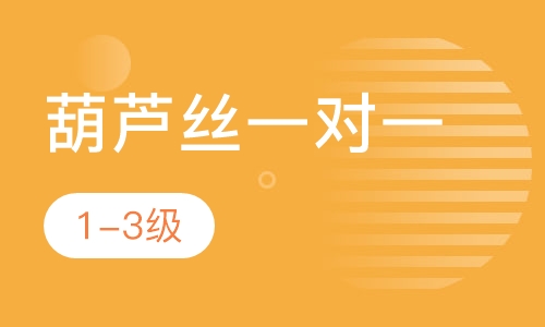葫芦丝一对一  1-3级