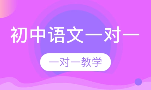 初中语文一对一