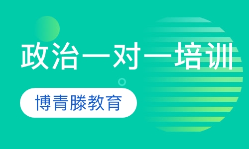 政治一对一培训