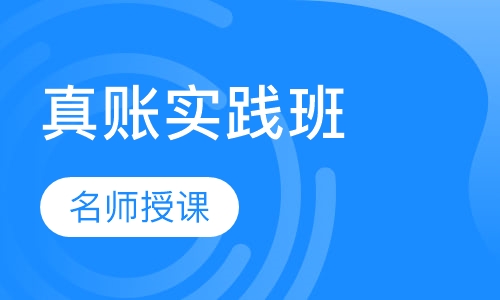 会计真账实践班