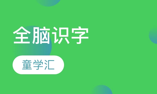 全脑识字