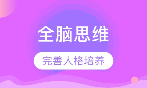 幼小全脑思维